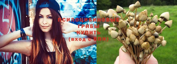 дживик Аркадак