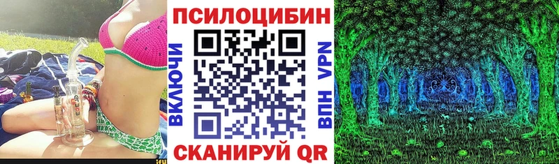 наркошоп  Малмыж  Галлюциногенные грибы Psilocybine cubensis 